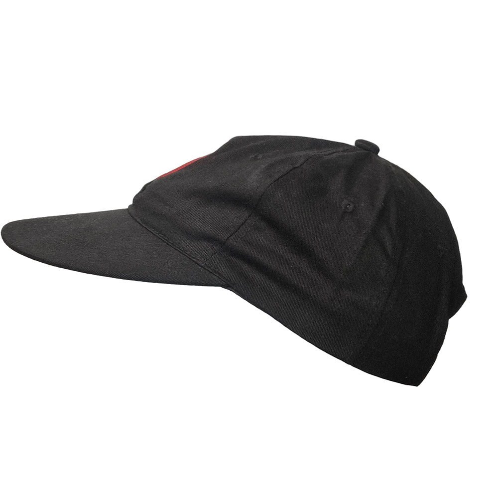Bird Hat black