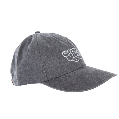 Logo Dad Hat Overcast Greys