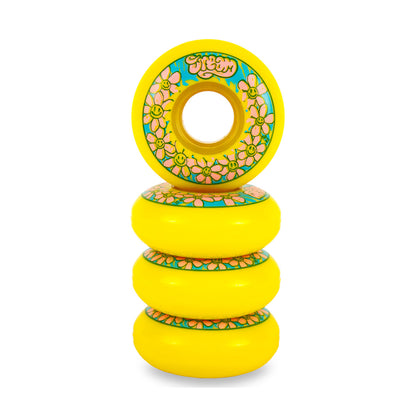 Daisy 58mm/92A Yellow 4-pack