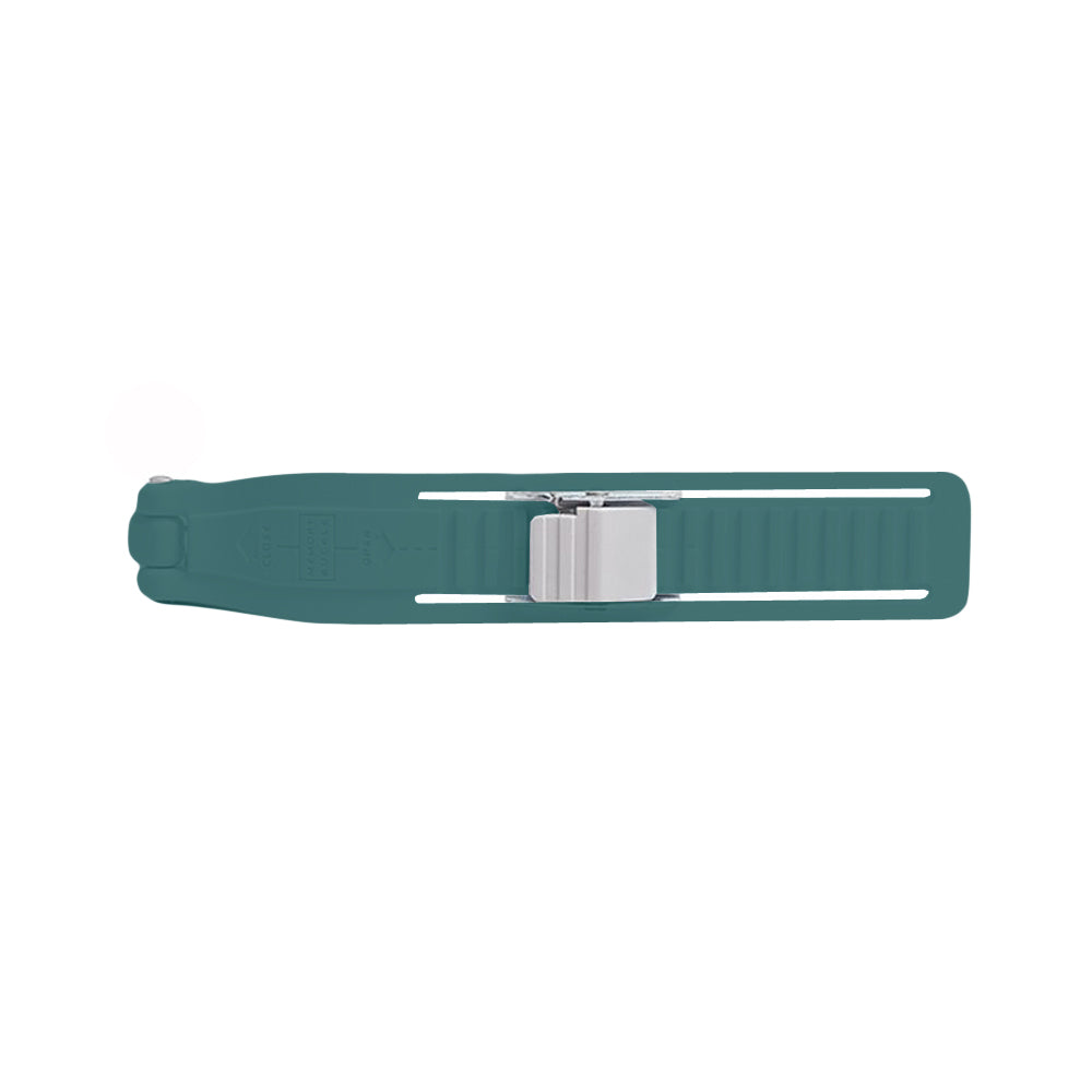 Memory buckle strap 18cm pair blue