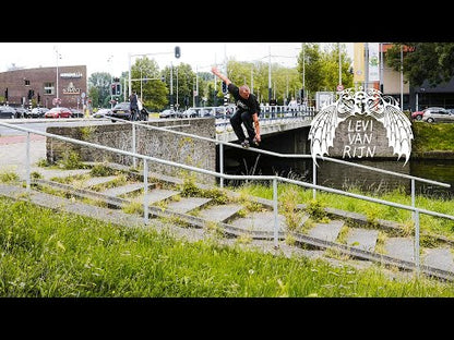 Throne Levi van Rijn Pro Shell