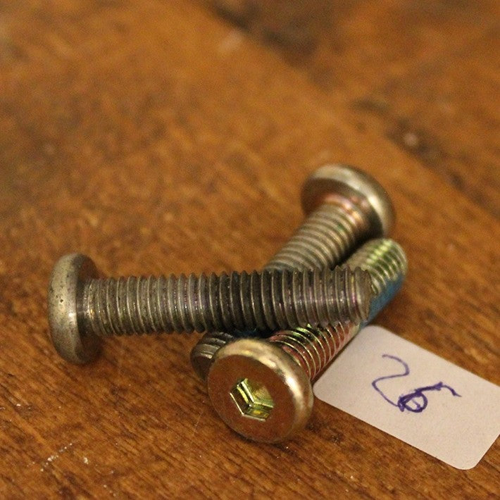 Frame Mounting Bolt Allan/Hex M6 L30mm pcs