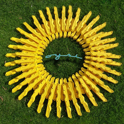 UFS Chassis sunflower